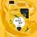  GLIMMERSTONE BASIC LINE 5l tekuté mýdlo MANGO