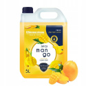  GLIMMERSTONE BASIC LINE 5l tekuté mýdlo MANGO
