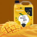  GLIMMERSTONE BASIC LINE 5l tekuté mýdlo MANGO