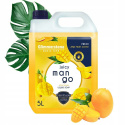  GLIMMERSTONE BASIC LINE 5l tekuté mýdlo MANGO